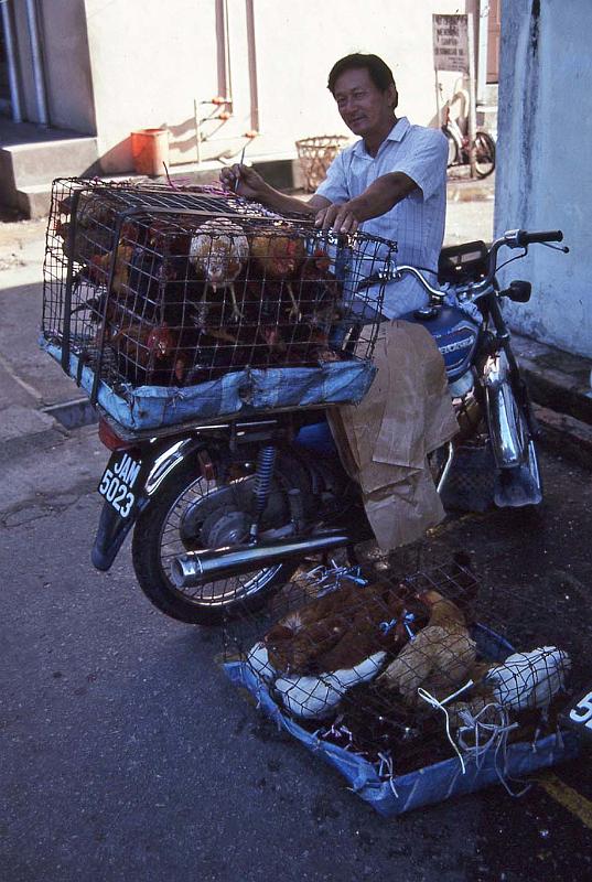 WT 0700 107-03 Malaysia.jpg